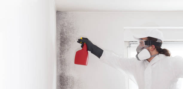 Lynden, WA Mold Remediation Company